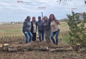 No-Dig Gardening