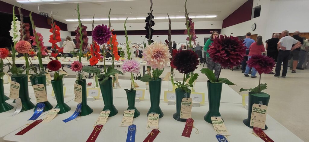 Trochu Flower Show