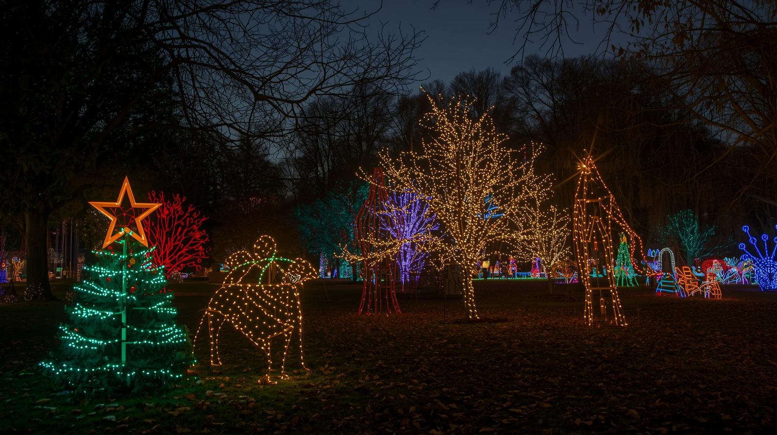 Forest of Lights Returns to the Trochu Arboretum!