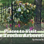Trochu Arboretum Alberta's Garden Book
