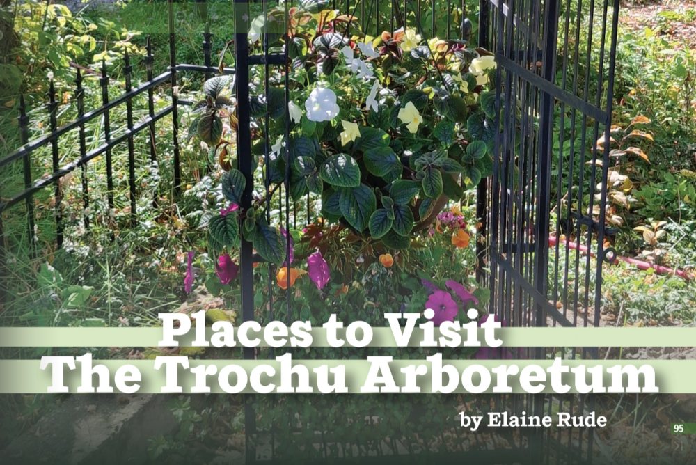 Trochu Arboretum Alberta's Garden Book